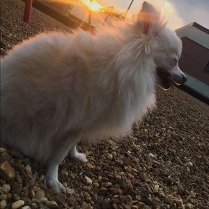 Meet your Posher, Zoe